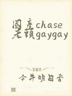 国产chase老头gaygay