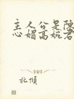 主人公是陈斌赵心媚高婉君小说