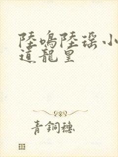 陆鸣陆瑶小说万道龙皇