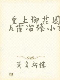 皇上御花园hlh霍冶臻小说