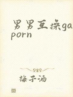 男男互操gayporn