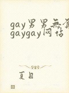 gay男男无套gaygay网站