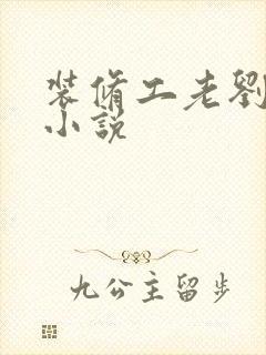 装修工老刘林雪小说封面