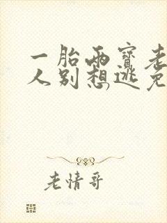 一胎两宝老婆大人别想逃免费阅读全文小说封面