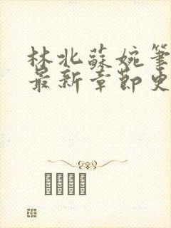 林北苏婉笔趣阁最新章节更新内容封面