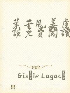 叶子风姜虞雪小说免费阅读封面