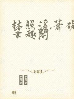 林照溪,萧砚川笔趣阁