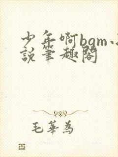 少年啊bgm小说笔趣阁