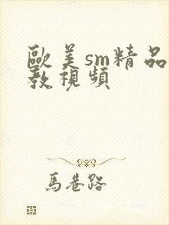 欧美sm精品调教视频