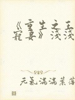 《重生之王爷独宠妻》浅浅一夏封面