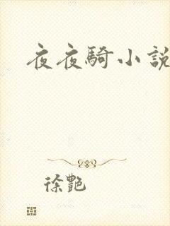 夜夜骑小说