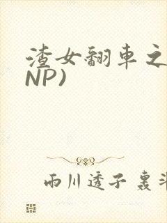 渣女翻车之后(NP)