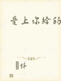 爱上你给的痛封面