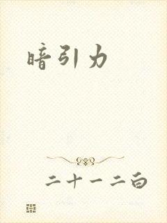 暗引力封面