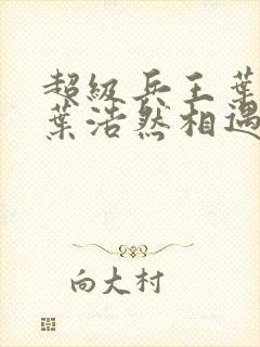 超级兵王叶谦和叶浩然相遇