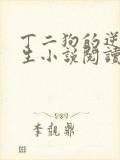丁二狗的逆袭人生小说阅读
