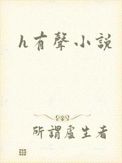 h有声小说