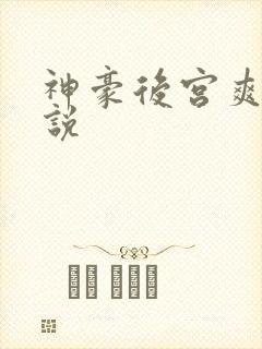 神豪后宫爽文小说封面