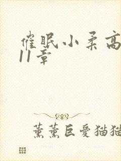 催眠小柔高达第11章封面