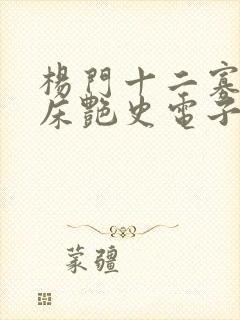 杨门十二寡妇肉床艳史电子书