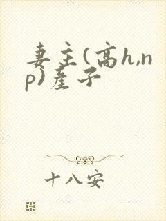 妻主(高h,np)产子