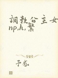 调教公主女奴(np,h,繁