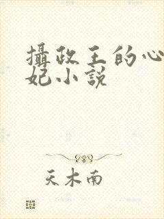 摄政王的心尖宠妃小说