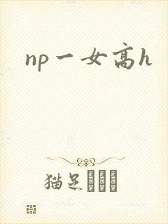 np一女高h