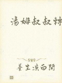 汤姆叔叔转接口