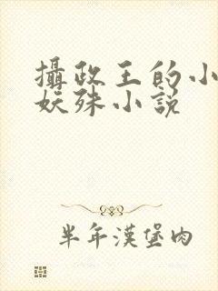 摄政王的小闲妻妖殊小说封面