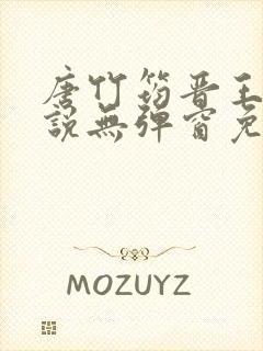 唐竹筠晋王的小说无弹窗免费阅读