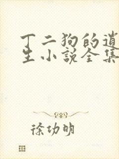 丁二狗的逍遥人生小说全集txt封面