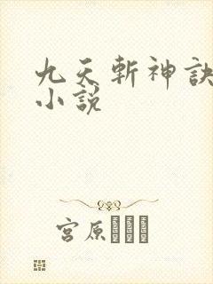 九天斩神诀林辰小说