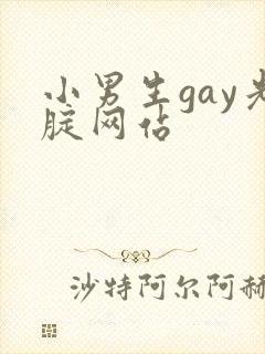 小男生gay光腚网站