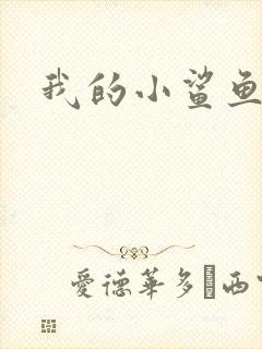 我的小鲨鱼封面