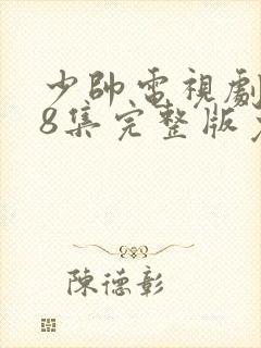 少帅电视剧第48集完整版免费