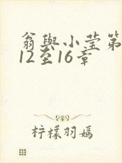 翁与小莹第十部12至16章