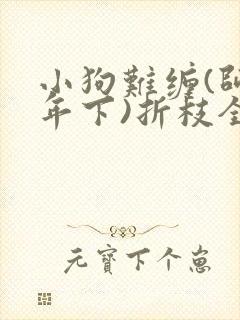 小狗难缠(师生年下)折枝全文免费阅读