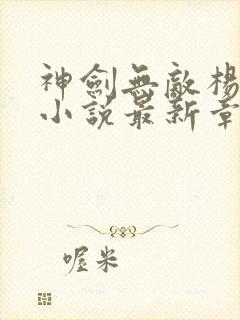 神剑无敌杨小天小说最新章