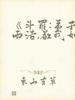 《斗罗:弟子霍雨浩,敬我如父》