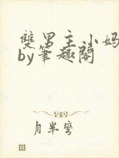 双男主小妈文学by笔趣阁