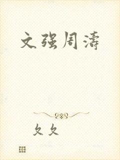 文强周涛