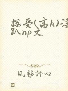 总受(高h)淫趴np文