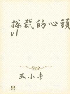 总裁的心头宝1v1