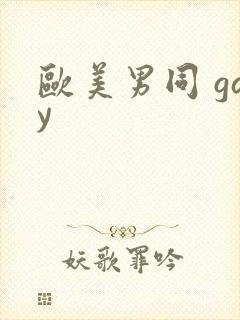 欧美男同 gay封面