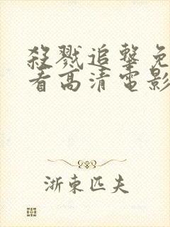 杀戮追击免费观看高清电影