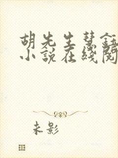 胡先生慧钰同人小说在线阅读