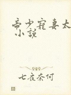 帝少宠妻太凶猛 小说