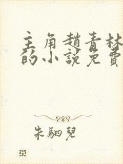 主角赵青林安澜的小说免费阅读