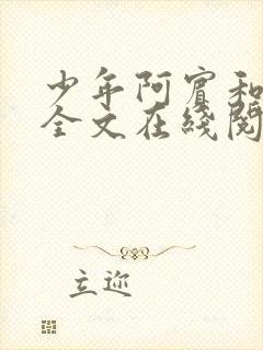 少年阿宾和房东全文在线阅读